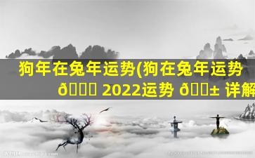 狗年在兔年运势(狗在兔年运势 🍀 2022运势 🐱 详解)